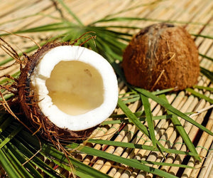 APTO Skincare_Ingredient_Coconut Oil