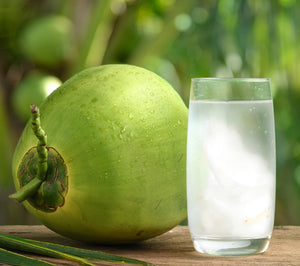 APTO Skincare_Ingredient_Coconut Water